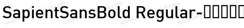 SapientSansBold Regular字体转换